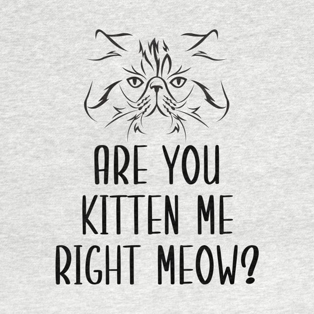 Are You Kitten Me Right Meow by Health